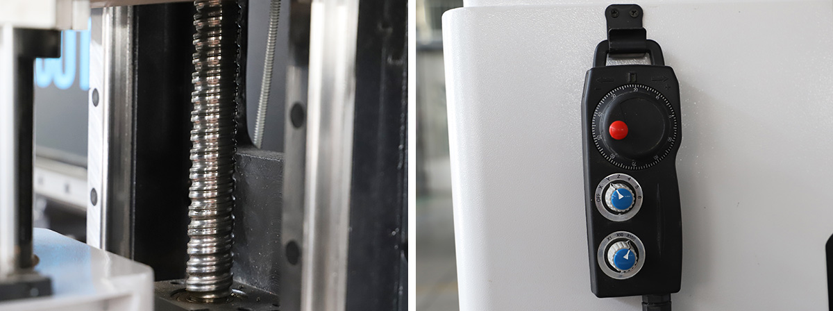 V&iacute;t b&oacute;ng Đ&agrave;i Loan